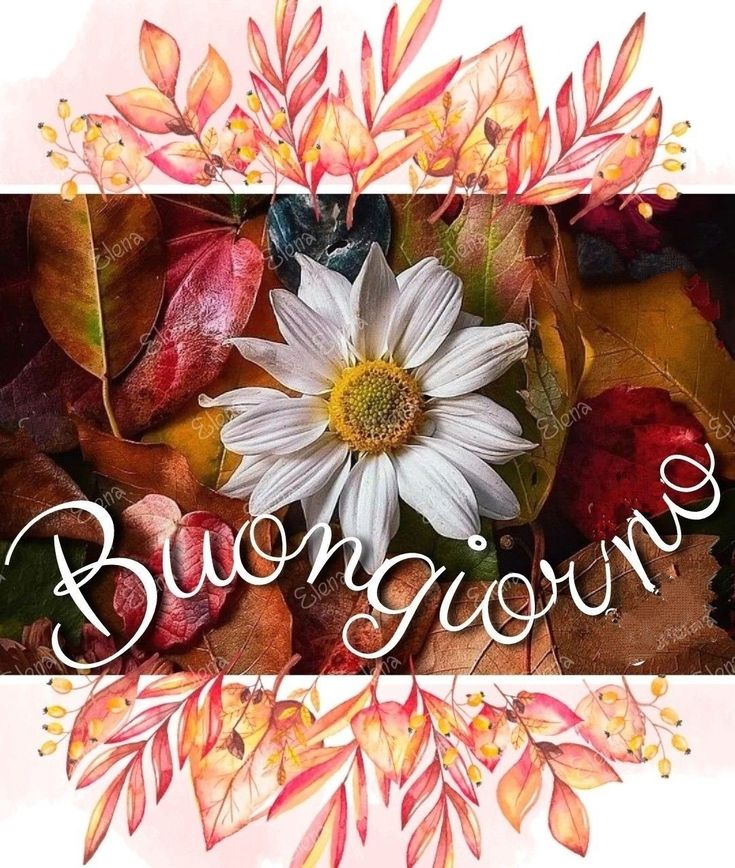 100 immagini buongiorno gif nuove