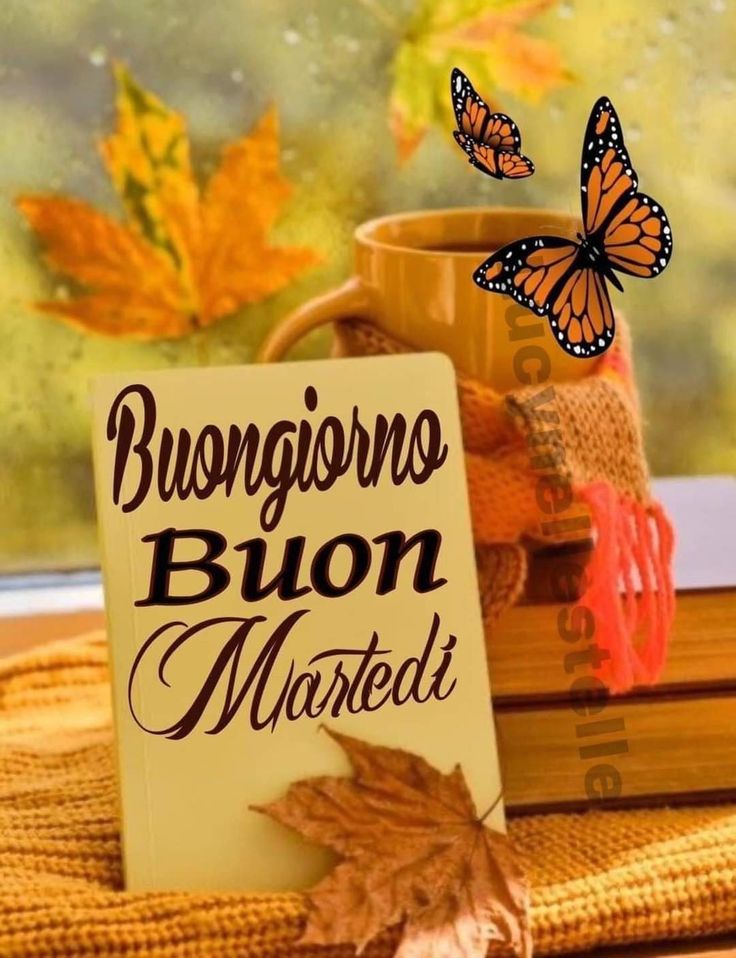 100 immagini buongiorno gratis per whatsapp buon martedi