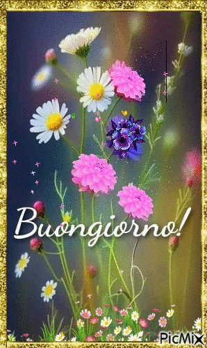 amore buongiorno gif