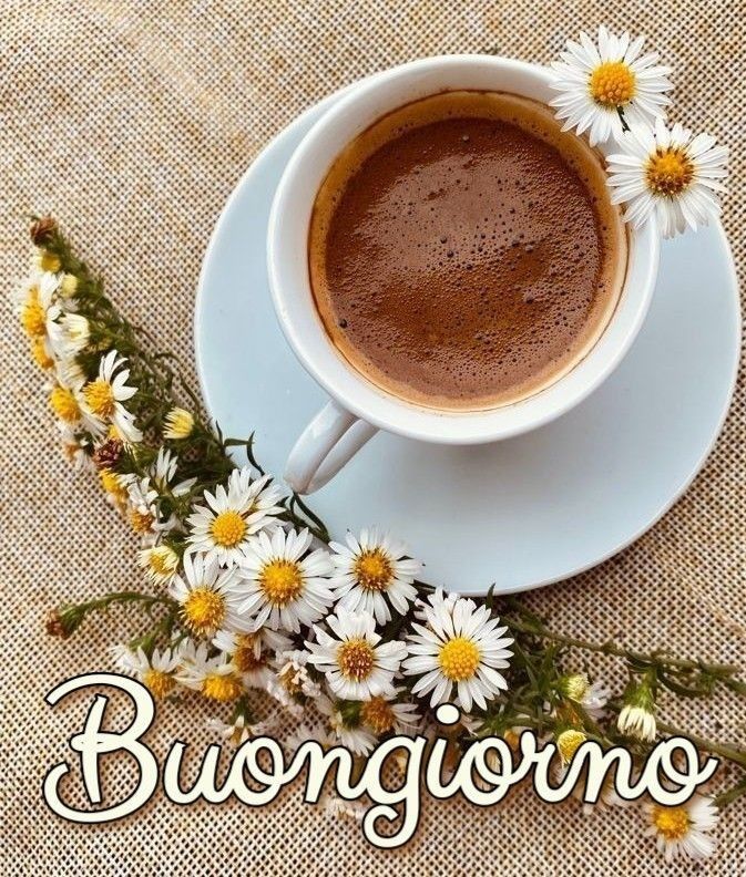 buongiorno buon lunedi buon lavoro
