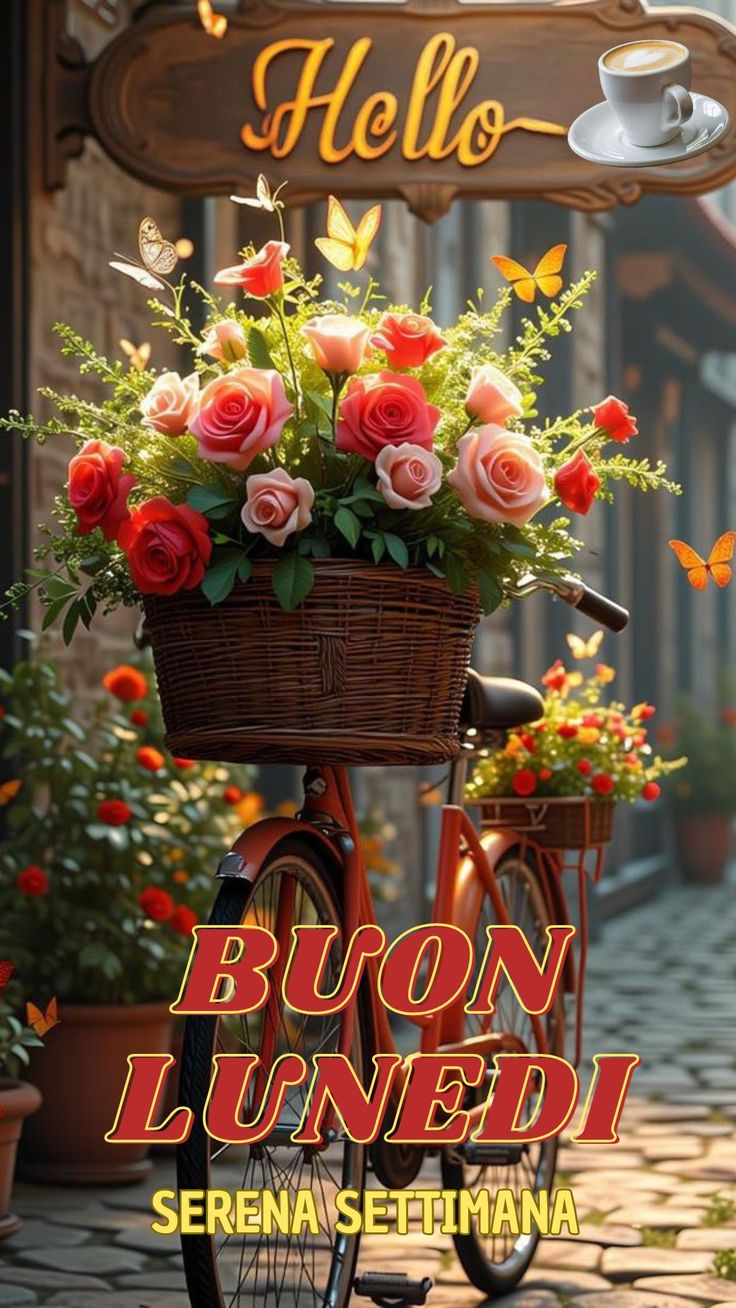 buongiorno buon lunedi con gatti