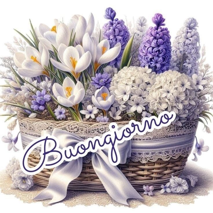 buongiorno buon lunedi e buon inizio settimana