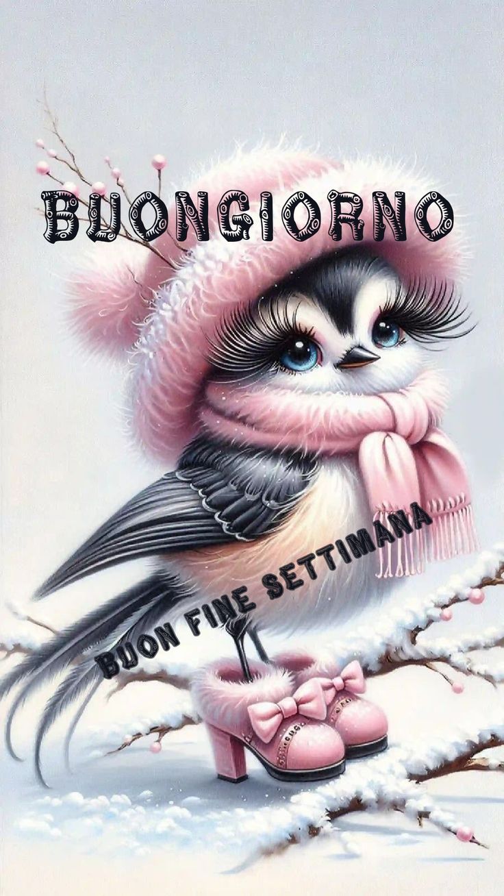 buongiorno buon martedi amici
