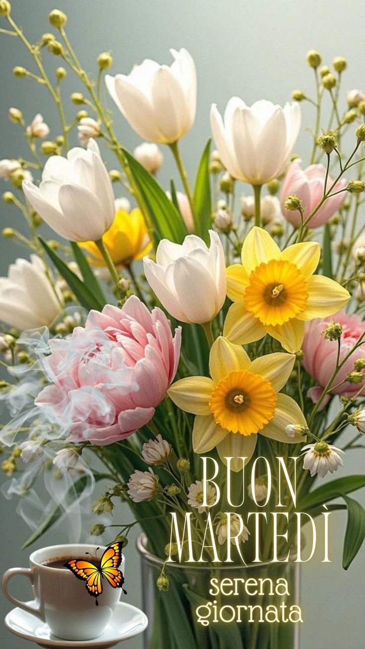 buongiorno buon martedi buon inizio giornata