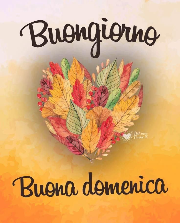 buongiorno buon martedi whatsapp