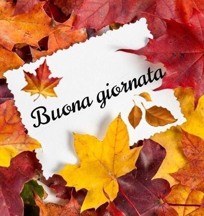 buongiorno buon mercoledi freddo
