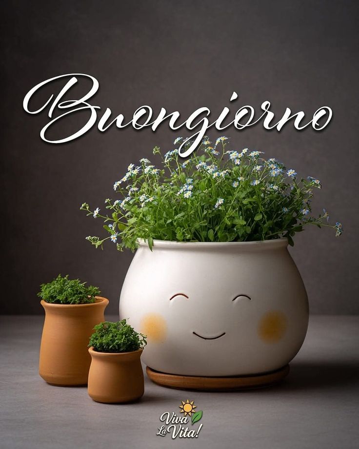 buongiorno buon sabato con gesu