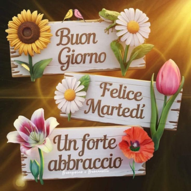 buongiorno buon sabato estivo caldo