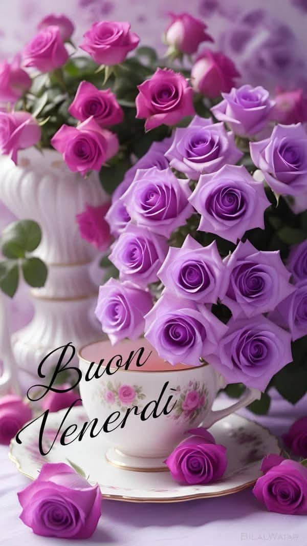 buongiorno buon venerdi a tutti voi