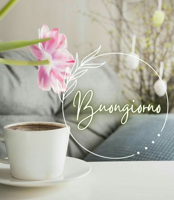 buongiorno buon venerdi sole