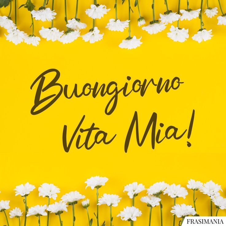 buongiorno buon venerdi