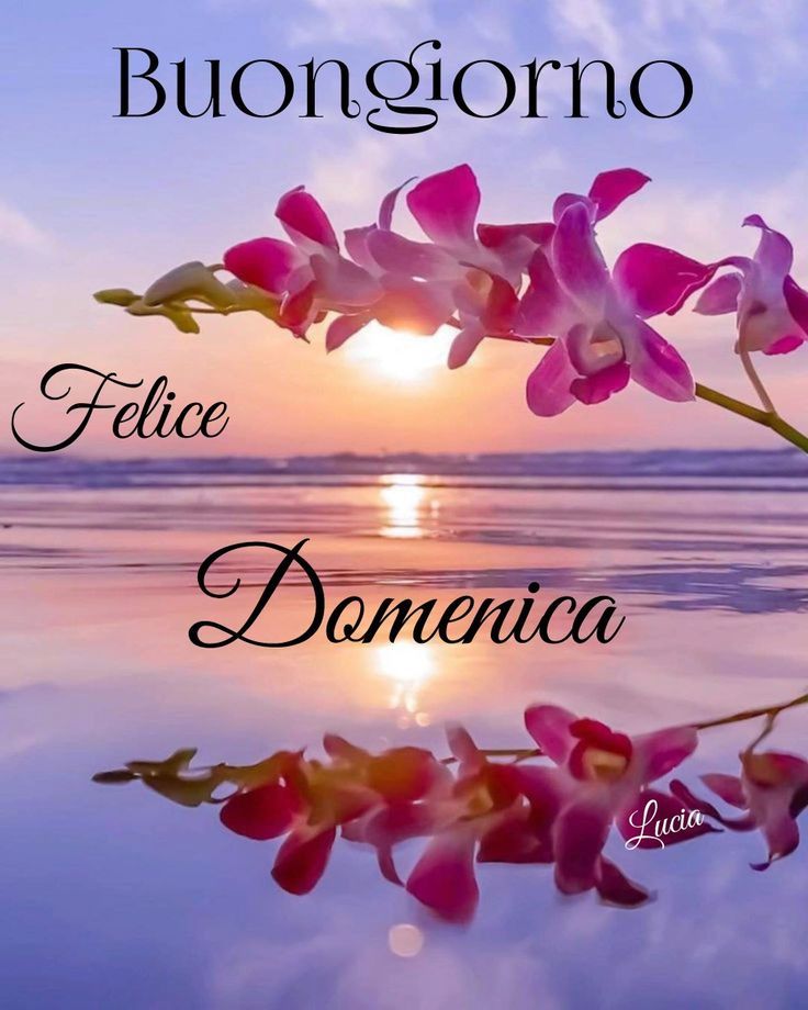 buongiorno buona domenica buon caffe