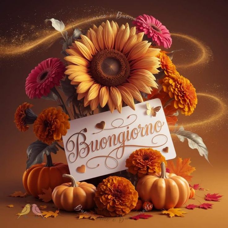 buongiorno buona domenica buona giornata