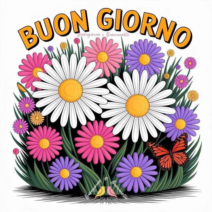 buongiorno buona domenica con affetto