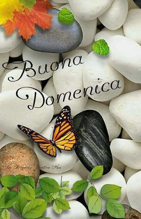 buongiorno buona domenica con il cuore