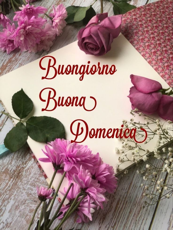 buongiorno buona domenica divertente