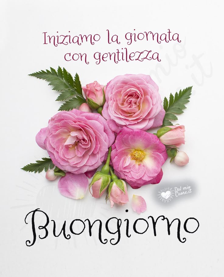 buongiorno buona domenica elegante