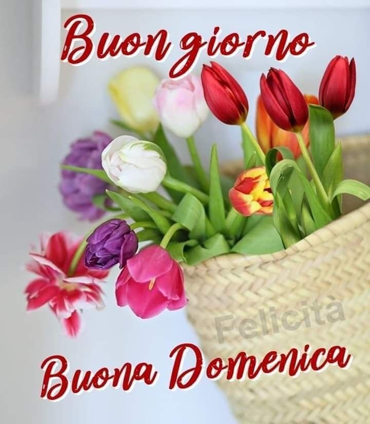 buongiorno buona domenica gif divertenti