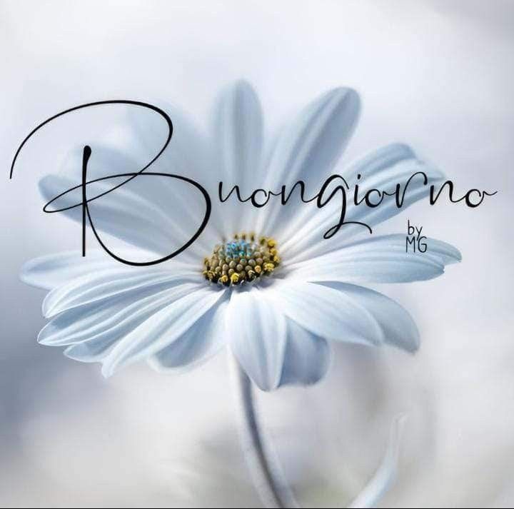 buongiorno e buon mercoledi immagini nuove gratis