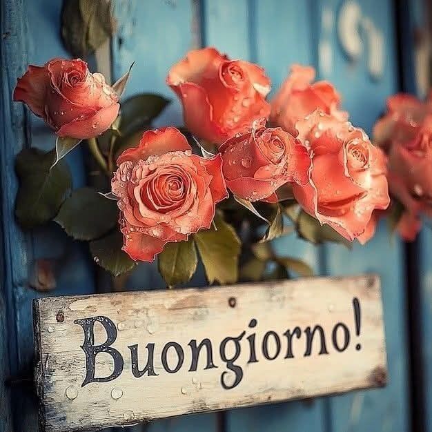 buongiorno estivo fresco