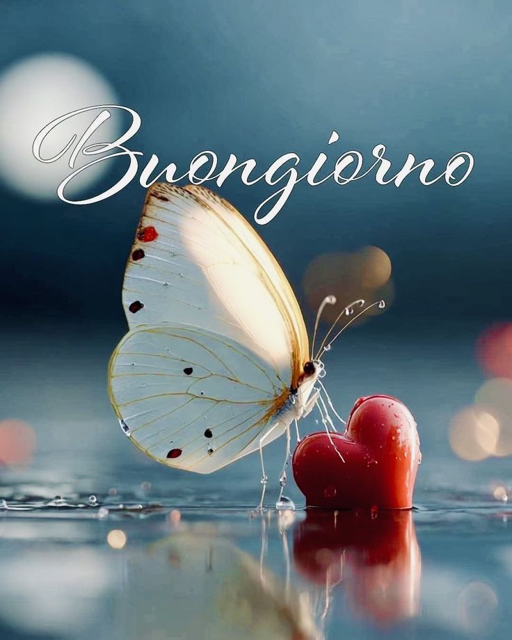 buongiorno estivo panorama