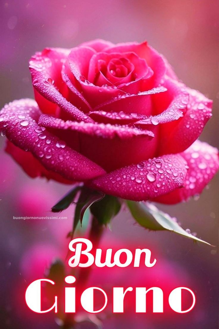 buongiorno gif elegante