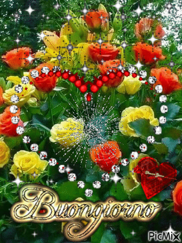 buongiorno gif estivo