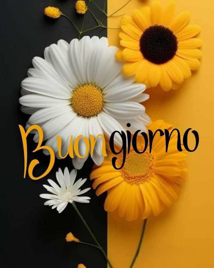 buongiorno immagini gennaio
