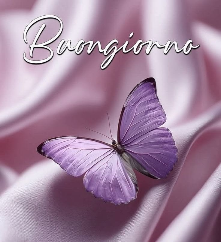 buongiorno immagini inedite da scaricare gratis per whatsapp giovedi