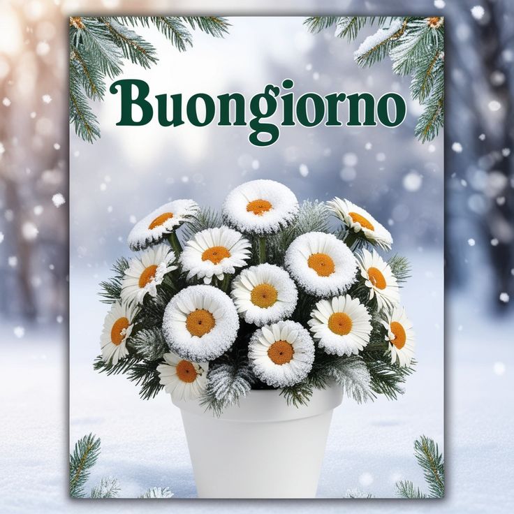 buongiorno invernale con il cuore
