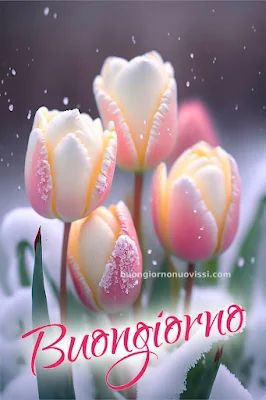 buongiorno invernale e buona domenica