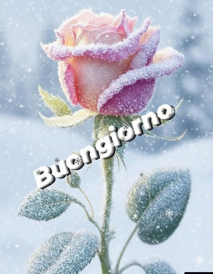 buongiorno invernale immagini nuove