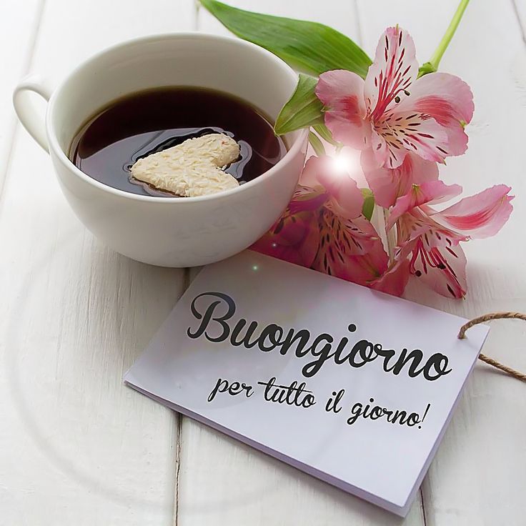 buongiorno invernale paesaggi