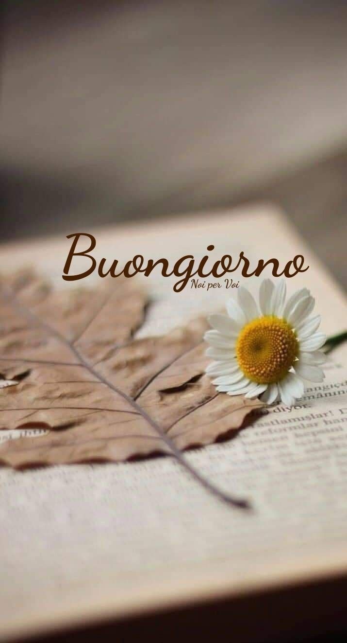 buongiorno toghigi paper immagini