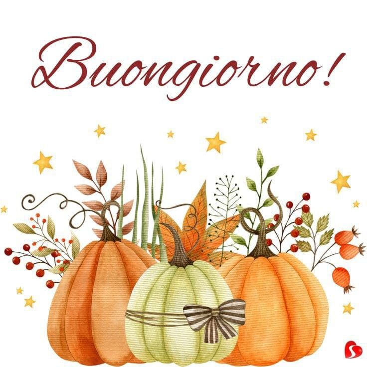 candelora immagini buongiorno