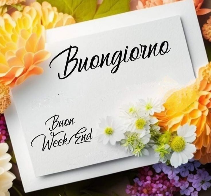 elisa immagini buongiorno