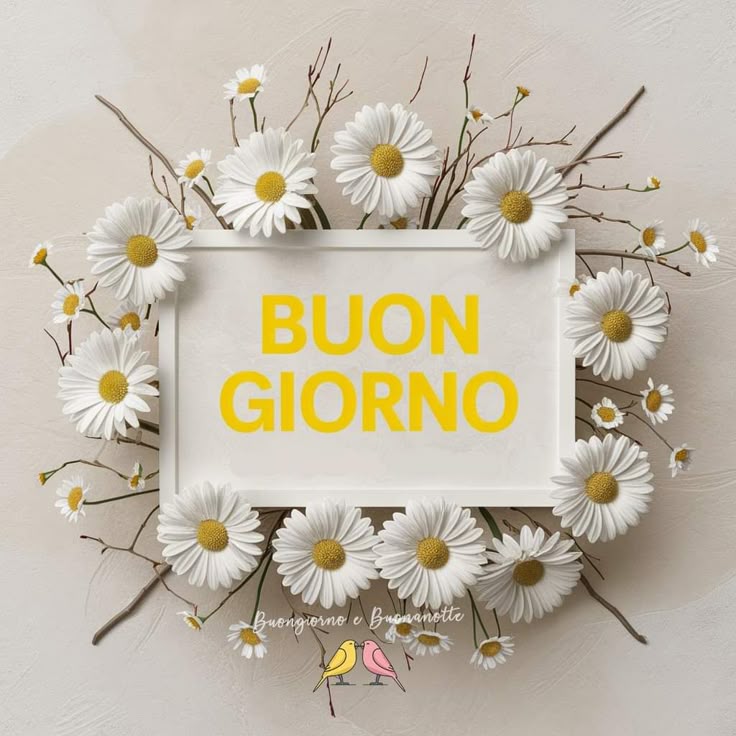 foto immagini buongiorno