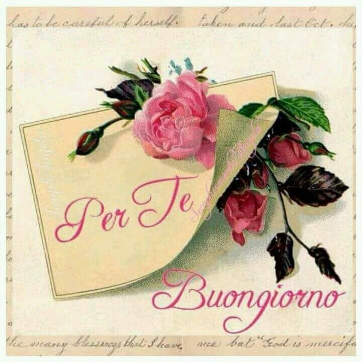 gif buongiorno estivo