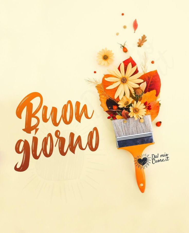 immagini buongiorno buon mercoledi da scaricare
