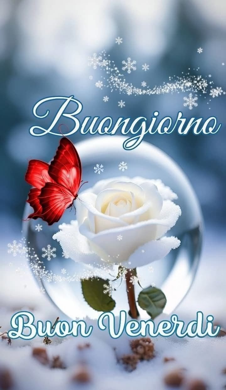 immagini buongiorno buon venerdi