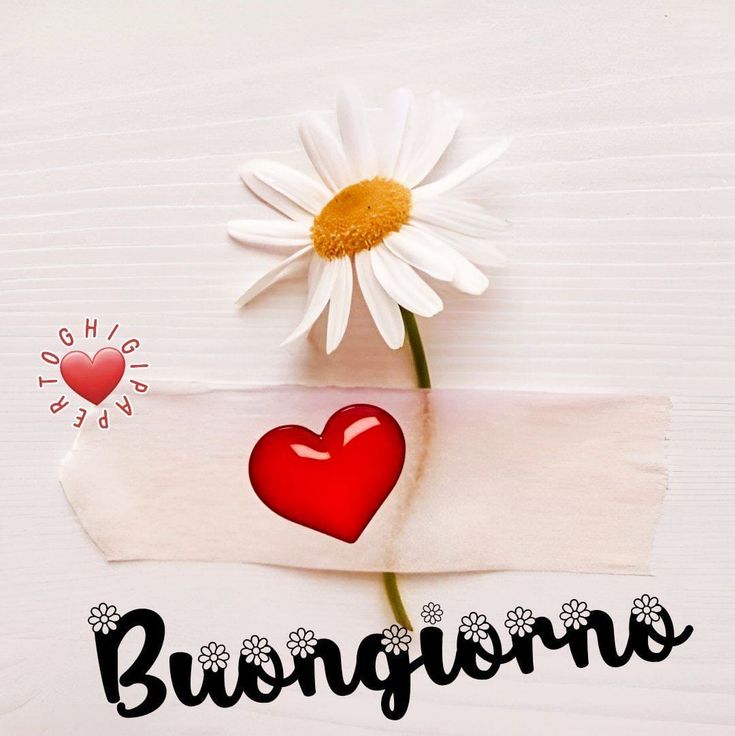 immagini buongiorno carine gratis