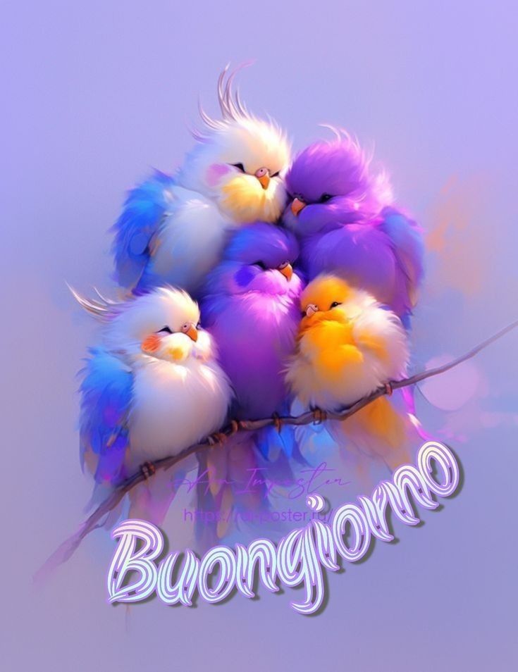 immagini buongiorno dicembre gratis per whatsapp