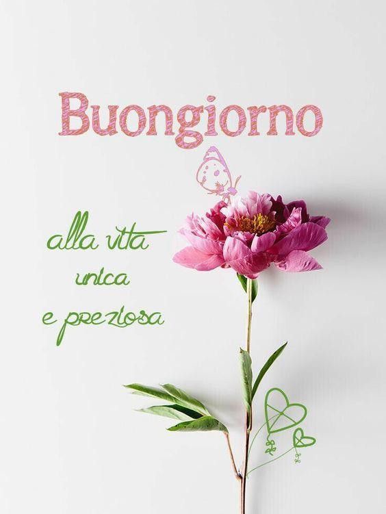 immagini buongiorno gif