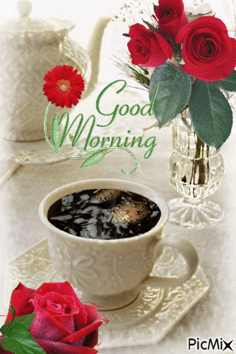 immagini buongiorno gif bellissime