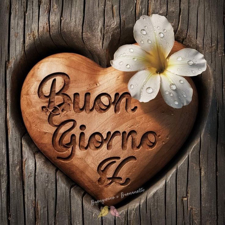 immagini buongiorno gratis domenica