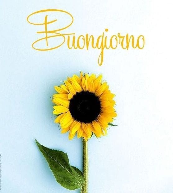 immagini buongiorno gratis freddo