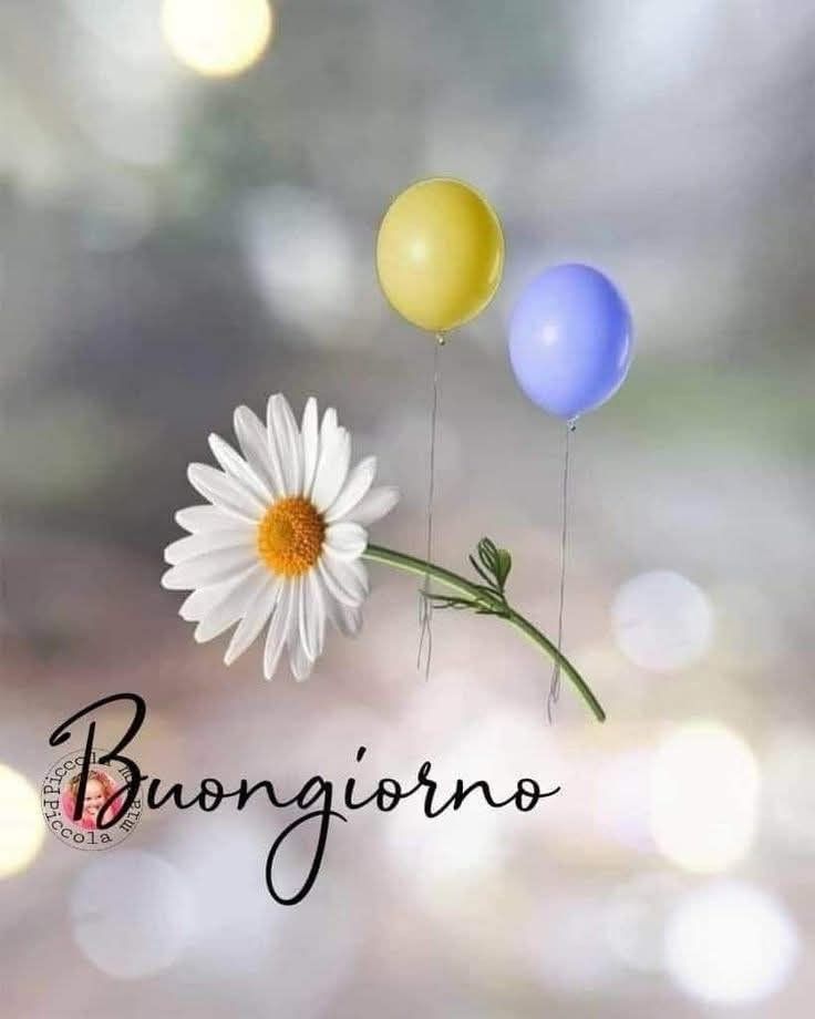 immagini buongiorno gratis giovedi