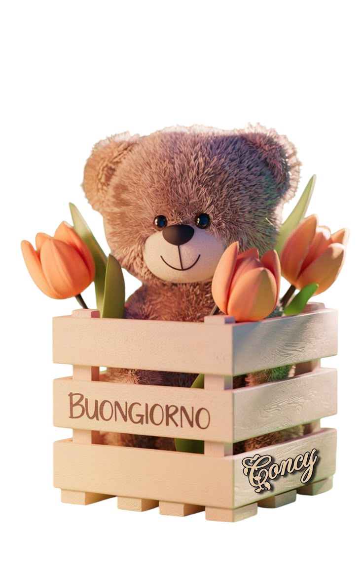 immagini buongiorno immagini buona domenica immagini buongiorno immagini buona domenica