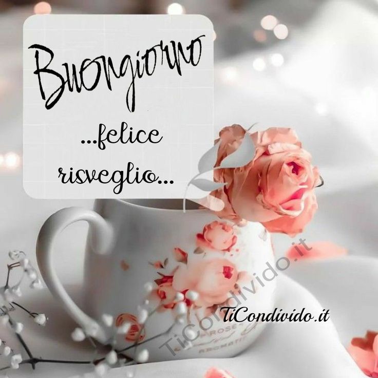 immagini buongiorno my angel gratis