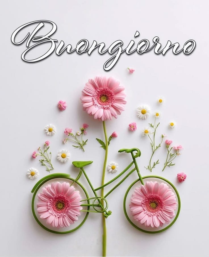 immagini di buongiorno buon mercoledi
